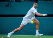 爱游戏体育-德约科维奇赛事官方发布回归赛场新规，热火争议不断！的简单介绍