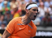 爱游戏-蒂姆新星问鼎冠军表现惊艳，塞尔维亚队未来可期！的简单介绍